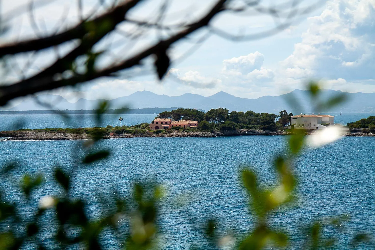 Apartment Modern Appartment In The Heart Of Cap D'Antibes